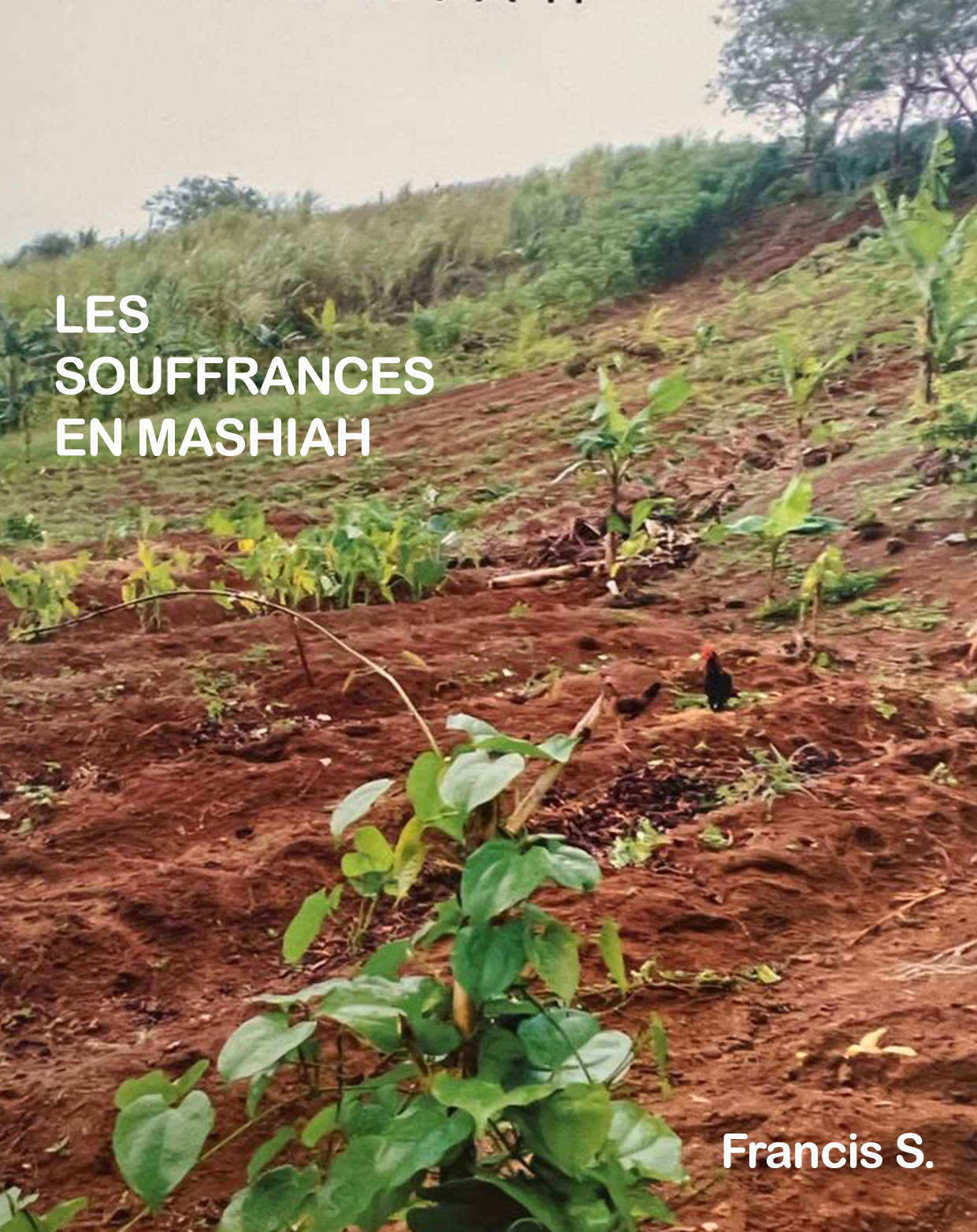 Cover of book: LES SOUFFRANCES EN MASHIAH