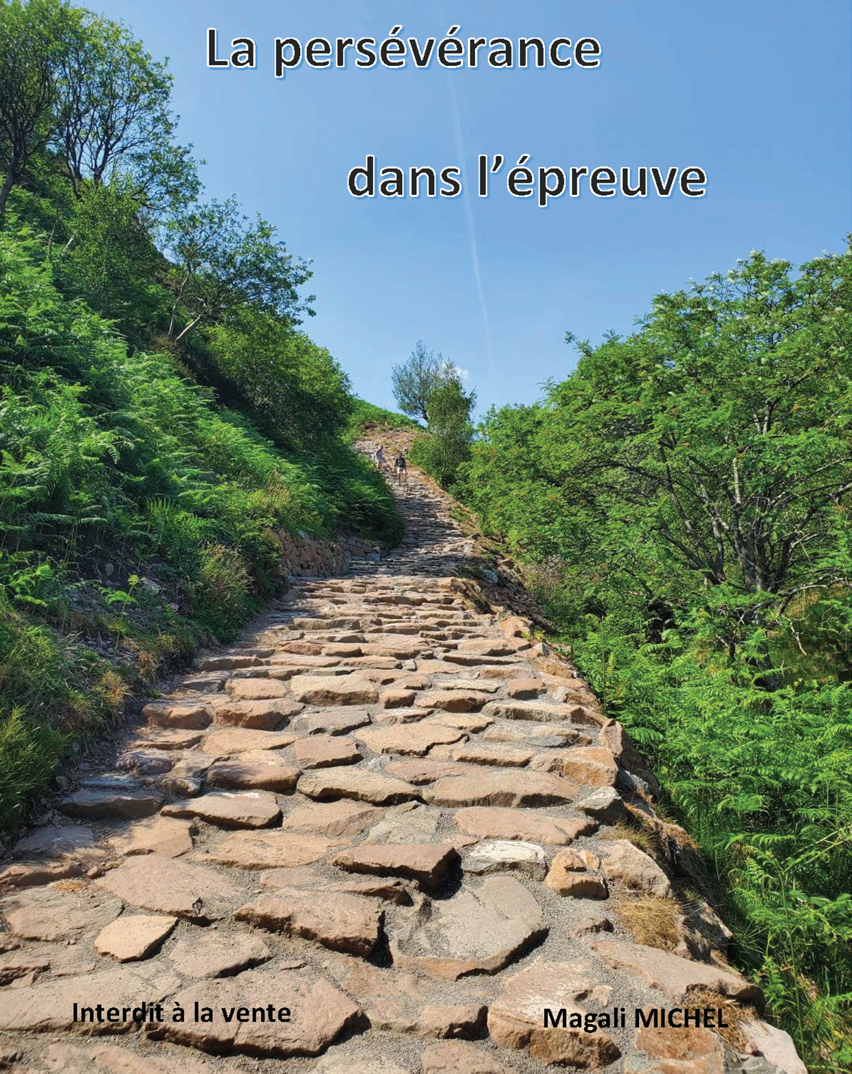 Cover of book: La persévérance dans l'épreuve
