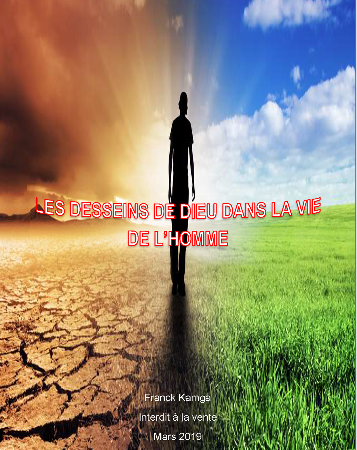 Cover of book: LES DESSEINS DE DIEU DANS LA VIE DE L’HOMME