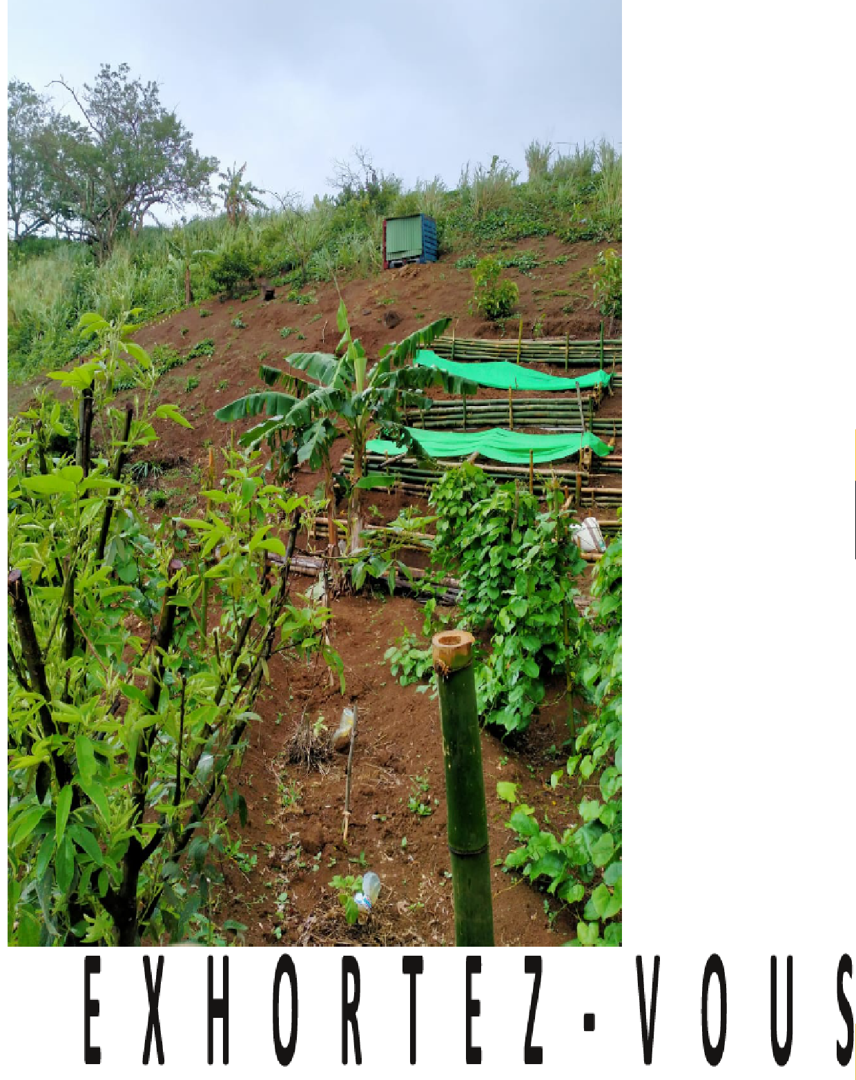 Cover of book: Exhortez-Vous